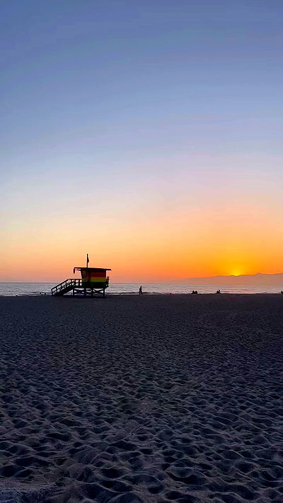 bakedsloths bakedsloths archive video