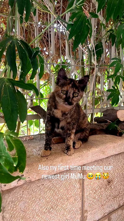 _femalien _femalien archive video