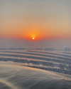 lital.oss Altpins Profile Picture