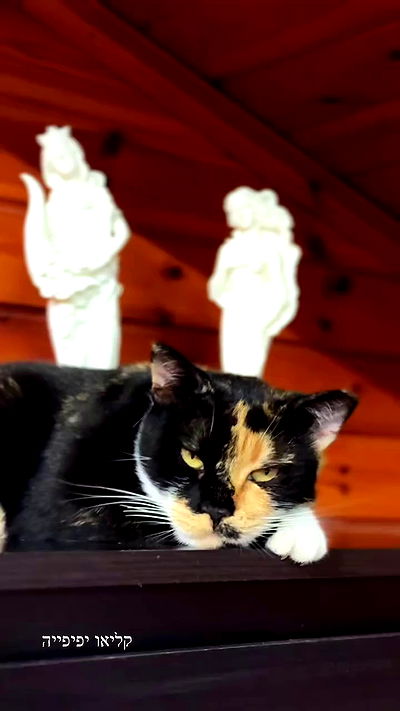 itsilanosh itsilanosh archive video