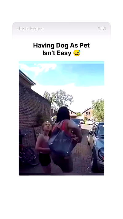 _lil_noa_ _lil_noa_ archive video