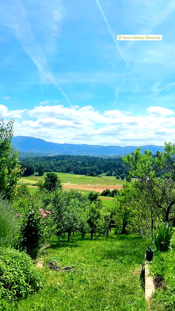 ellamwatts_ archive video preview