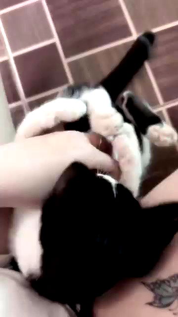 oqr0_ oqr0_ archive video