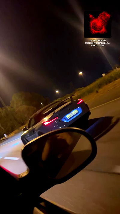 simp_for_cats_ simp_for_cats_ archive video