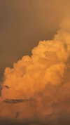 sarah.anne.dipity Altpins Profile Picture