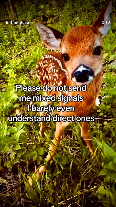 feelbetterinmysweater feelbetterinmysweater archive video