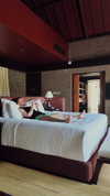 belok_bero Altpins Profile Picture