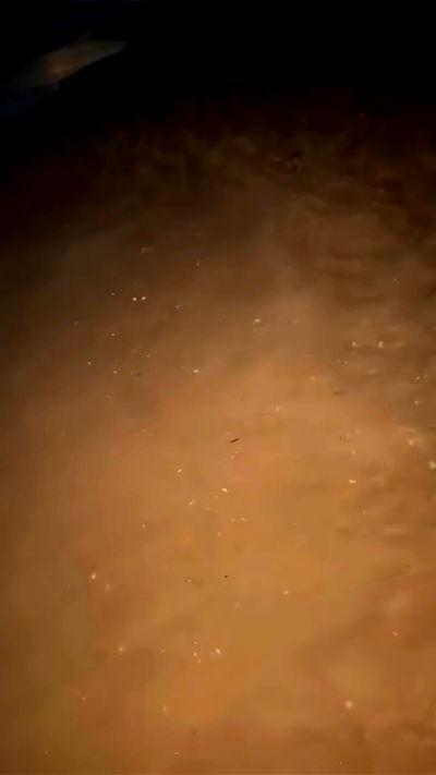 tair_alon tair_alon archive video