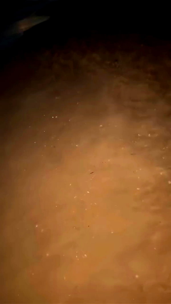 tair_alon archive video preview