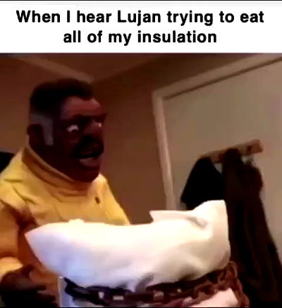 haylujan haylujan archive video