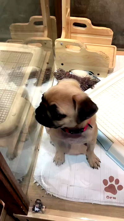 elianachetrit elianachetrit archive video