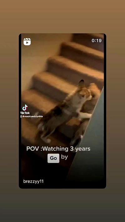 _animechika_ _animechika_ archive video