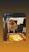 riaraexo Altpins Profile Picture