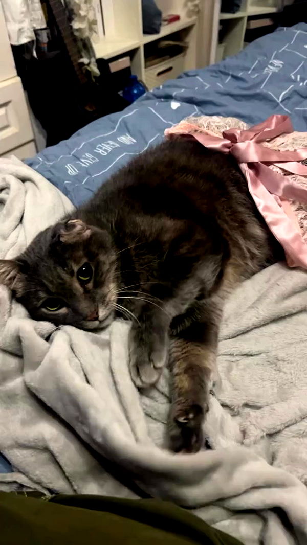 canabaputgir archive video preview