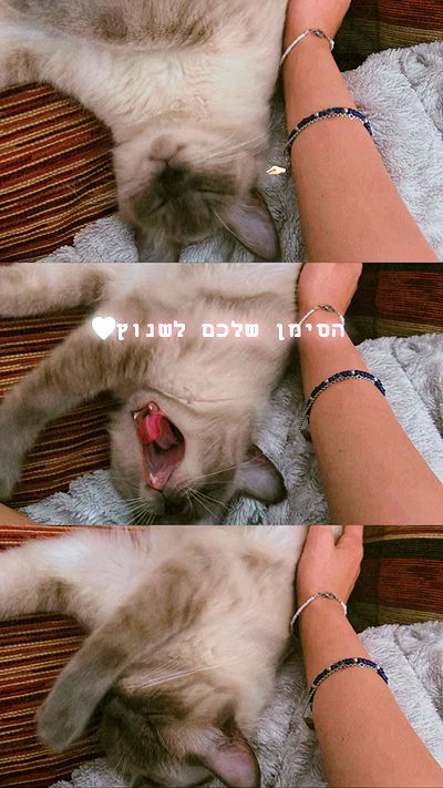 lissi77 lissi77 archive video