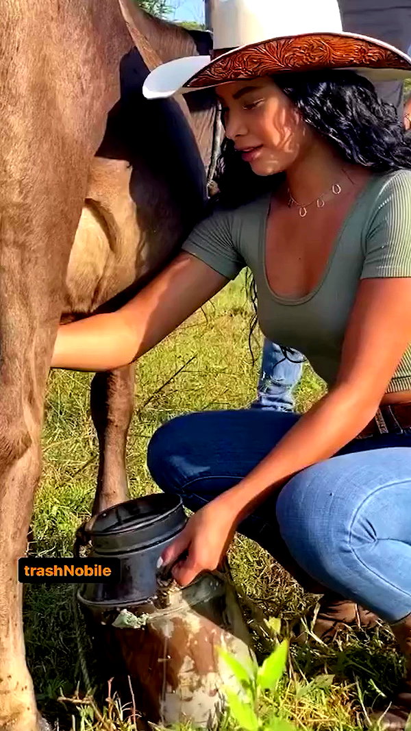 andieclips archive video preview