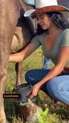 andieclips Altpins Profile Picture