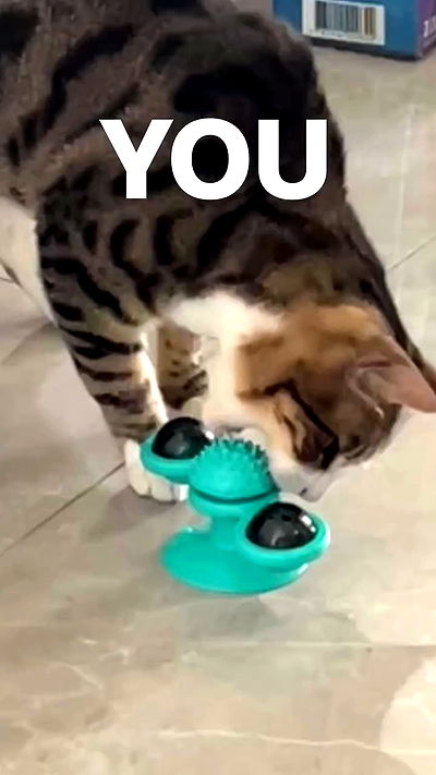 lila.garnik lila.garnik archive video