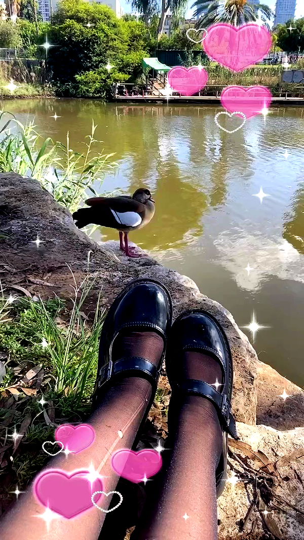 yam_adler archive video preview