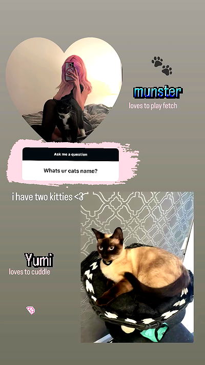 viezery viezery archive video