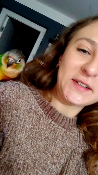 1justsabi 1justsabi archive video