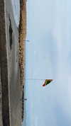 sydney_melman Altpins Profile Picture