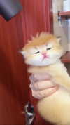 courtney2love Altpins Profile Picture