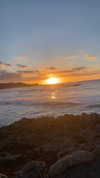 sydney_melman Altpins Profile Picture