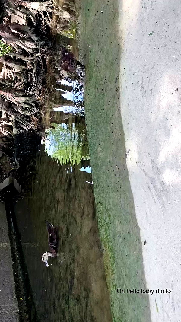 haley_meister archive video preview