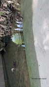 haley_meister Altpins Profile Picture