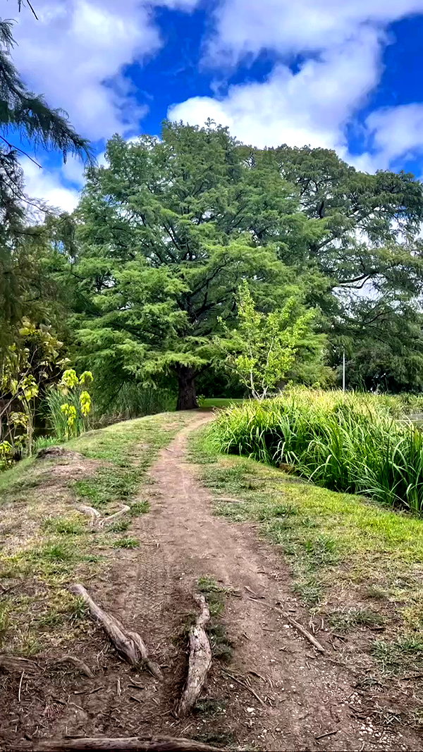 tatum.ricee archive video preview