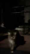 theresemarlen Altpins Profile Picture
