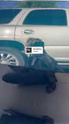 astarwbry_ Altpins Profile Picture