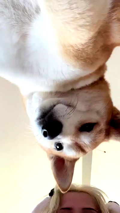 zommmbri zommmbri archive video