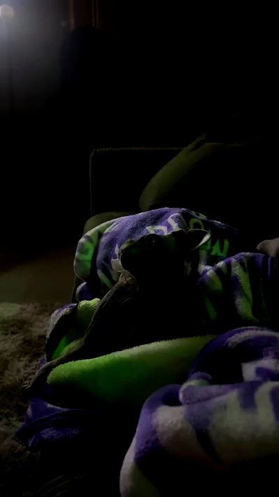 zommmbri zommmbri archive video