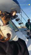 jenny.kaly Altpins Profile Picture