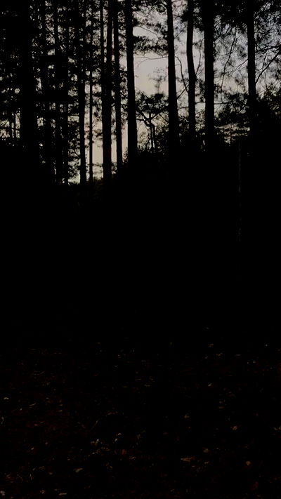 quincymood quincymood archive video