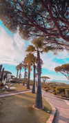 caseboon Altpins Profile Picture