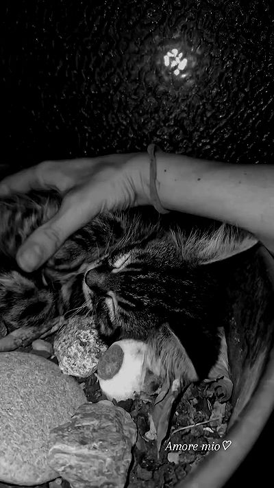 aekamee aekamee archive video