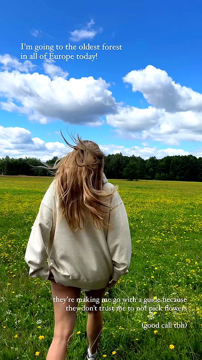 carolinezalog carolinezalog archive video