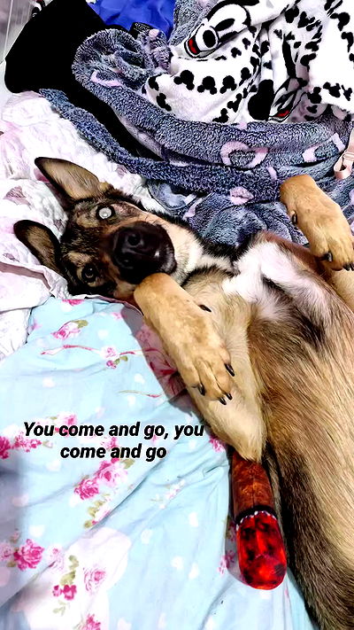 ida.trbl ida.trbl archive video