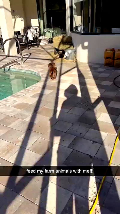 sophieraiin sophieraiin archive video