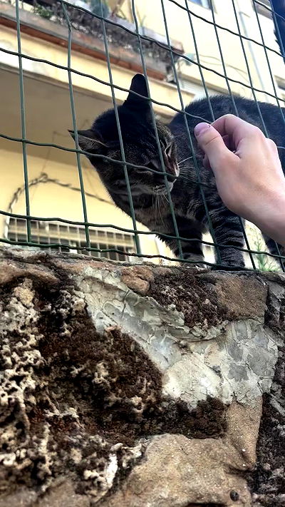 hellokittyangel666 hellokittyangel666 archive video