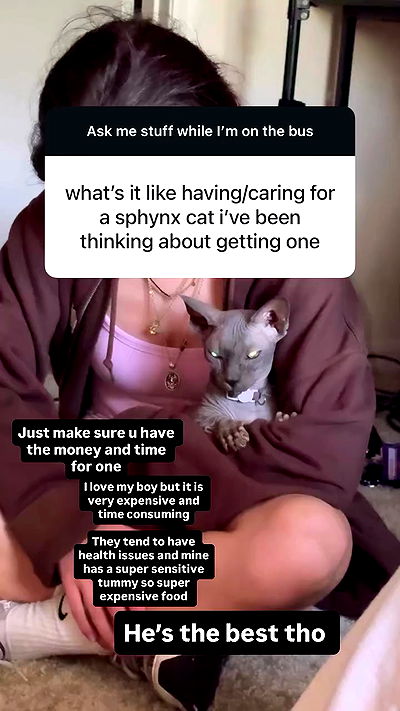 iluvmeww iluvmeww archive video