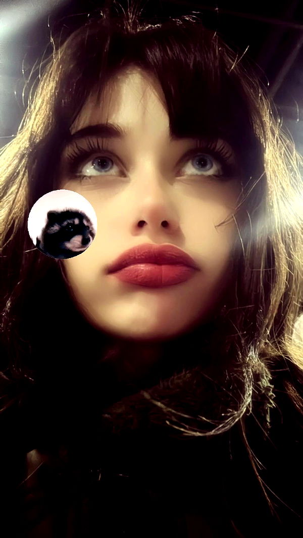 liashaked archive video preview