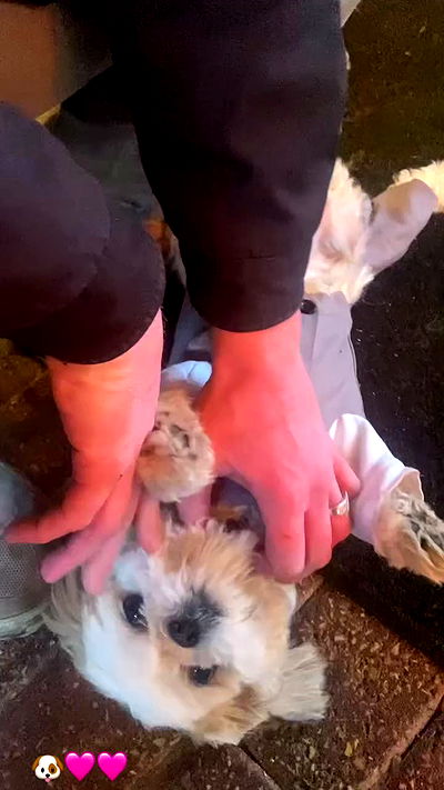 rose_xanne rose_xanne archive video