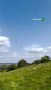 ellauk Altpins Profile Picture