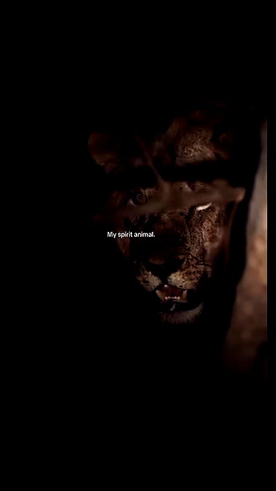 ninja.vi ninja.vi archive video