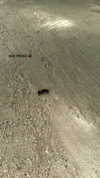 noa_mendel_ Altpins Profile Picture