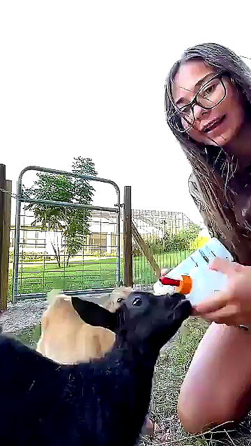 sophieraiin sophieraiin archive video